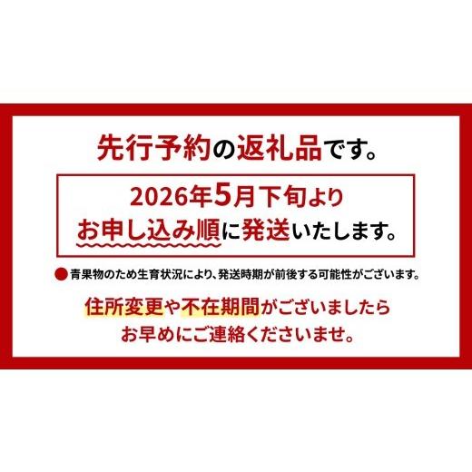 ふるさと納税 スイカ 茨城県 桜川市 小玉 スイカ スウィートキッズ 2玉 セット 先行予約 小玉スイカ すいか 西瓜 こだますいか フルーツ 果物 くだもの 農家直…