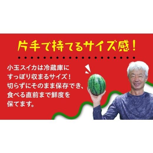 ふるさと納税 スイカ 茨城県 桜川市 小玉 スイカ スウィートキッズ 2玉 セット 先行予約 小玉スイカ すいか 西瓜 こだますいか フルーツ 果物 くだもの 農家直…