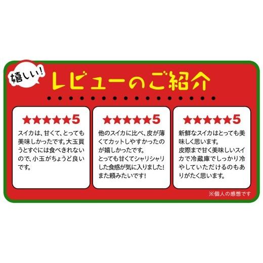 ふるさと納税 スイカ 茨城県 桜川市 小玉 スイカ スウィートキッズ 2玉 セット 先行予約 小玉スイカ すいか 西瓜 こだますいか フルーツ 果物 くだもの 農家直…