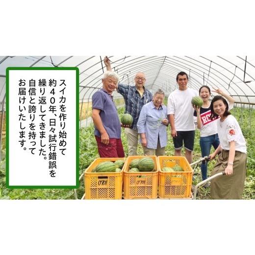 ふるさと納税 スイカ 茨城県 桜川市 小玉 スイカ スウィートキッズ 2玉 セット 先行予約 小玉スイカ すいか 西瓜 こだますいか フルーツ 果物 くだもの 農家直…