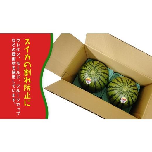 ふるさと納税 スイカ 茨城県 桜川市 小玉 スイカ スウィートキッズ 2玉 セット 先行予約 小玉スイカ すいか 西瓜 こだますいか フルーツ 果物 くだもの 農家直…