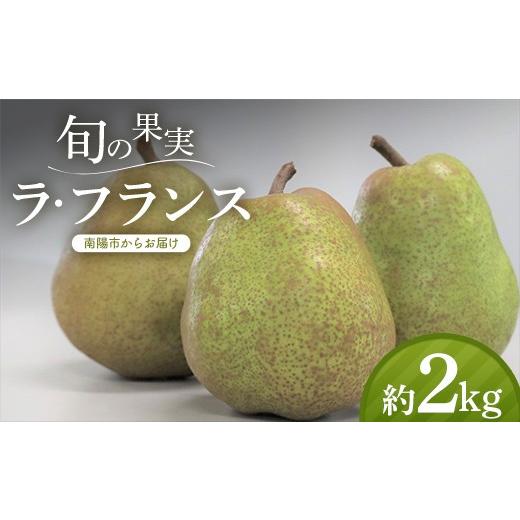 ふるさと納税 梨 山形県 南陽市 令和8年産先行予約 十三代目 佐藤市右衛門 ラ・フランス 約2kg (6〜8玉 秀 2〜4L) [令和8年11月上旬〜発送] 『旬の果実 佐…
