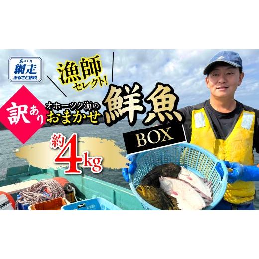 ふるさと納税 旬の鮮魚等 北海道 網走市 訳あり 漁師セレクト オホーツク海のおまかせ鮮魚BOX 約4kg ふるさと納税 人気 おすすめ ランキング 鮮魚セット 海鮮…