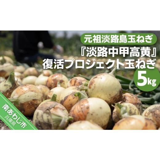 ふるさと納税 野菜類 玉ねぎ 兵庫県 南あわじ市 元祖淡路島玉ねぎ『淡路中甲高黄』復活プロジェクト 玉ねぎ5kg 配送6月〜
