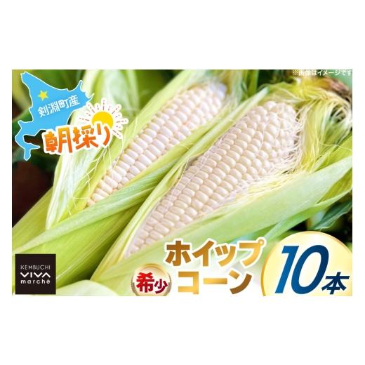 ふるさと納税 とうもろこし 北海道 剣淵町 剣淵町産 ホイップコーン 10本 けんぶちVIVAマルシェ 北海道 剣淵町 14656379 とうもろこし トウモロコシ ホイップ…