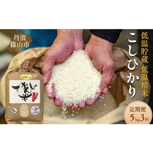 ふるさと納税 米 コシヒカリ 兵庫県 丹波篠山市 定期便3回 令和7年産 丹波篠山市 コシヒカリ でかんしょ米 5kg×3回 低温貯蔵 香り豊か 旨み抜群 お米 こめ …