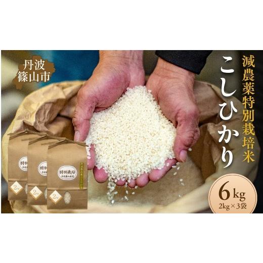 ふるさと納税 米 コシヒカリ 兵庫県 丹波篠山市 令和7年産 丹波篠山市 コシヒカリ 特別栽培米 低農薬 2kg×3袋 計6kg 多紀連山の清らかな湧き水育ち 低温精米…