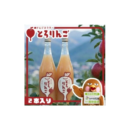 ふるさと納税 果汁飲料 りんご 長野県 高山村 りんごジュースネクター「とろりんご」720ml×2本 1717841