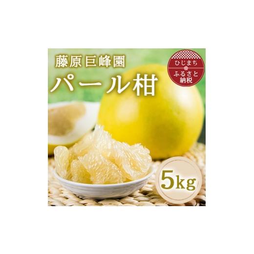 ふるさと納税 みかん・柑橘類 大分県 日出町 大分県日出町産 パール柑5kg 1726374