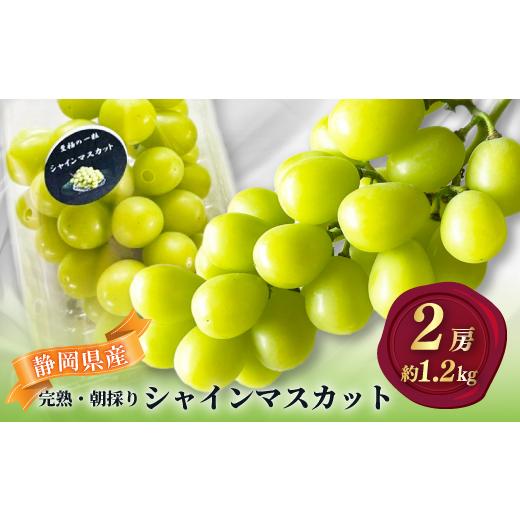 ふるさと納税 ぶどう 静岡県 磐田市 2026年先行予約 シャインマスカット 2房 約1.2kg 厳選 完熟 朝採り 静岡県産 1723184