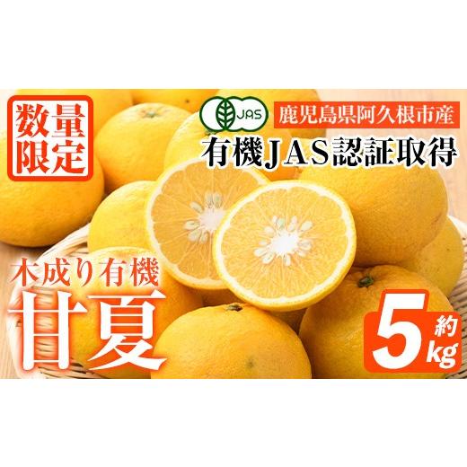 ふるさと納税 みかん・柑橘類 鹿児島県 阿久根市 数量限定 有機JAS 木成り甘夏(約5kg) 国産 果実 果物 フルーツ 柑橘 デザート きなり 木なり あまなつ みかん…