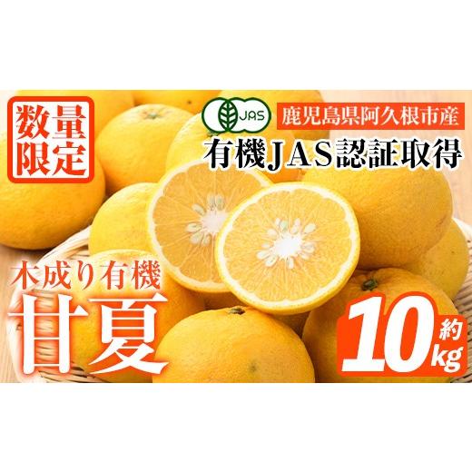 ふるさと納税 みかん・柑橘類 鹿児島県 阿久根市 数量限定 有機JAS 木成り甘夏(約10kg) 国産 果実 果物 フルーツ 柑橘 デザート きなり 木なり あまなつ みか…