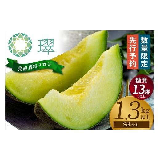 ふるさと納税 メロン メロン青肉 愛知県 常滑市 先行予約 養液栽培メロン「?」1玉 Select (糖度13度以上、重さ1.3kg以上) 熨斗対応可能 │メロン めろん 果…