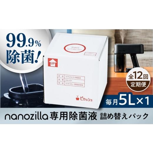 ふるさと納税 雑貨・日用品 熊本県 菊陽町 全12回定期便 nanozilla専用 銀イオン除菌液 5L / 衛生 銀イオン ペット 除菌 除菌作業 抗菌 ミスト 保育園 感染…
