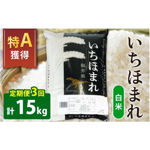 ふるさと納税 米 福井県 大野市 3ヶ月定期便 令和7年産 福井のブランド米 特A獲得 いちほまれ 白米 5kg × 1袋 ×3回(合計15kg)