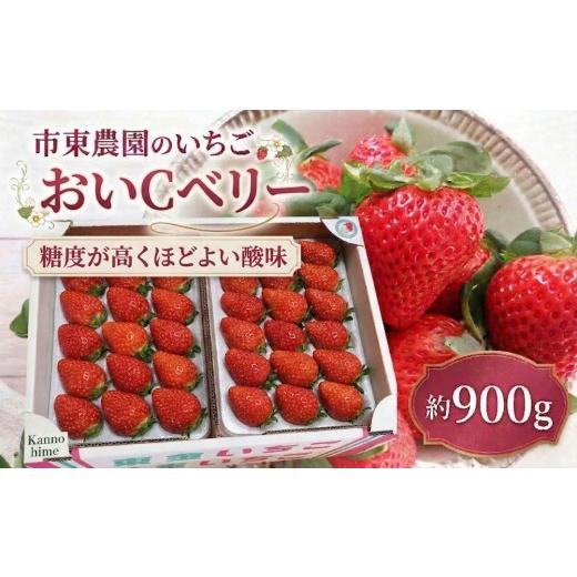 ふるさと納税 いちご 千葉県 東金市 4月収穫 苺 おいCベリー 約900g いちご イチゴ おいしーベリー ichigo itigo べりー フルーツ 新鮮 ふるーつ くだもの 果…