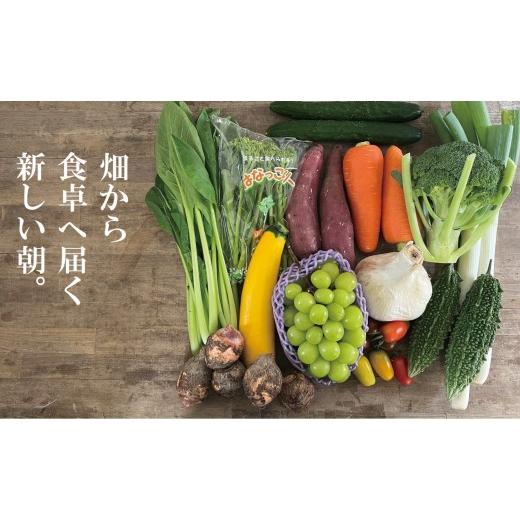 ふるさと納税 果物の詰合せ 山口県 山口市 B111 山野りんりんオリジナルボックスで送る旬の野菜とフルーツ定期便(年3回)