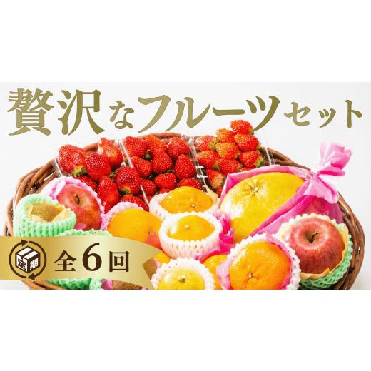 ふるさと納税 果物の詰合せ 山口県 山口市 A121 選べる ご褒美フルーツ定期便(年6回)
