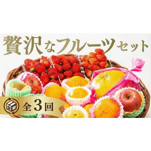 ふるさと納税 果物の詰合せ 山口県 山口市 B112 選べる ご褒美フルーツ定期便(年3回)