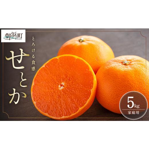ふるさと納税 果物類 みかん 三重県 御浜町 [ ご入金確認から7営業日程度で発送 ]ミカファームのせとか5キロ 数量限定 果物 フルーツ みかん せとか デザー…