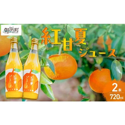 ふるさと納税 果汁飲料 みかん 三重県 御浜町 ゆうや農園の紅甘夏ジュース 720ml×2本 数量限定 みかん 果物 柑橘 ジュース 飲料 ストレート ドリンク 果汁100…