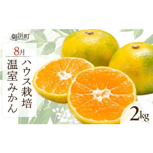ふるさと納税 果物類 みかん 三重県 御浜町 8月の御浜柑橘 温室みかん 2キロ 先行予約 期間限定 果物 フルーツ みかん 温室みかん 2kg 三重県 御浜町