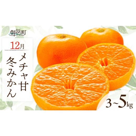ふるさと納税 果物類 みかん 三重県 御浜町 12月の御浜柑橘 メチャ甘冬みかん3〜5キロ 先行予約 期間限定 果物 フルーツ みかん 早生 早生みかん 3kg〜5kg 冬 …