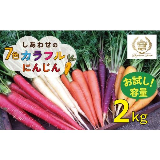 ふるさと納税 野菜類 人参 愛知県 碧南市 [予約受付]メディア出演多数 期間限定 (お試し) 冬の寒さでぎゅっと濃い 虹色のカラフルにんじん 2kg 鈴盛農園 …