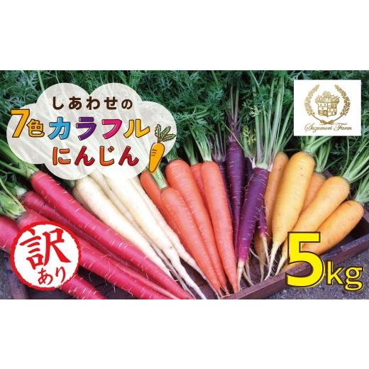 ふるさと納税 野菜類 人参 愛知県 碧南市 [予約受付]メディア出演多数 期間限定 (訳あり) 冬の寒さでぎゅっと濃い 虹色のカラフルにんじん 5kg 鈴盛農園 …