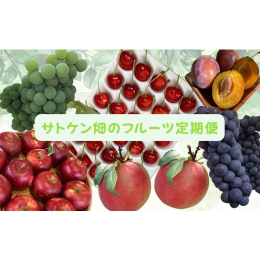 ふるさと納税 果物類 さくらんぼ 北海道 増毛町 8-060-004 サトケン畑のフルーツ定期便