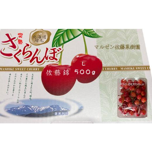 ふるさと納税 果物類 さくらんぼ 北海道 増毛町 8-009-003 完熟さくらんぼ 佐藤錦(L)500g マルゼン佐藤果樹園