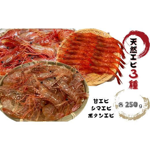 ふるさと納税 エビ ぼたんエビ 北海道 増毛町 8-010-011 天然エビ3種セット 各250g