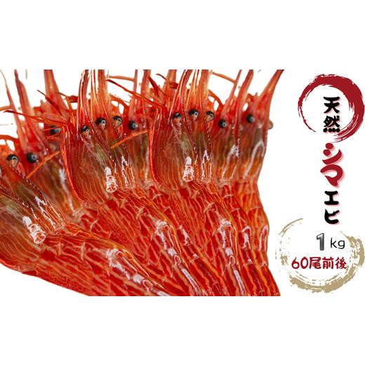 ふるさと納税 エビ 北海道 増毛町 8-034-001 天然シマエビ 1kg(60尾前後)