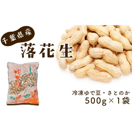 ふるさと納税 豆類 落花生 千葉県 芝山町 冷凍ゆで豆・さとのか500g×1袋 / ピーナッツ 落花生 食べ応え 新鮮 ゆでピーナッツ 冷凍ピーナッツ 落花生 豆の甘…