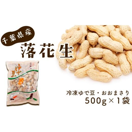 ふるさと納税 豆類 落花生 千葉県 芝山町 冷凍ゆで豆・おおまさり 500g×1袋 / ピーナッツ 落花生 大きくて甘くてやわらかい 新鮮 千葉県 No.017