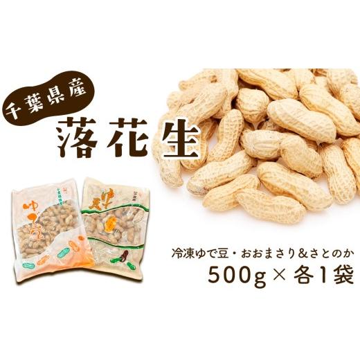 ふるさと納税 豆類 落花生 千葉県 芝山町 冷凍ゆで豆・おおまさり&さとのか〜2種を楽しむ 500g×各1袋 / ピーナッツ 落花生 大粒 やわらかい しっかり 食べ…