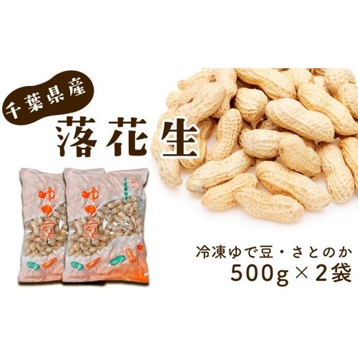 ふるさと納税 豆類 落花生 千葉県 芝山町 冷凍ゆで豆・さとのか500g×2袋 / ピーナッツ 落花生 食べ応え 新鮮 ゆでピーナッツ 冷凍ピーナッツ 落花生 豆の甘…
