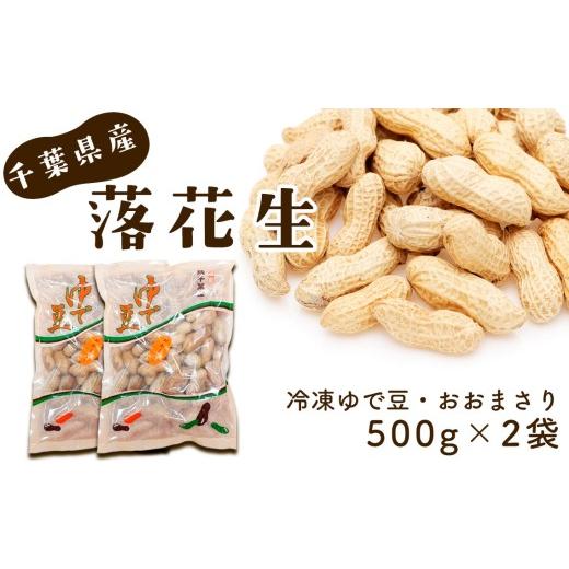 ふるさと納税 豆類 落花生 千葉県 芝山町 冷凍ゆで豆・おおまさり 500g×2袋 / ピーナッツ 落花生 大きくて甘くてやわらかい 新鮮 千葉県 No.039