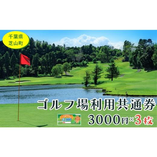 ふるさと納税 ゴルフ場利用券 千葉県 芝山町 芝山町ゴルフ場利用券 3枚 / golf 芝山ゴルフ倶楽部 京カントリークラブ イーグルレイクゴルフクラブ 共通チケ…