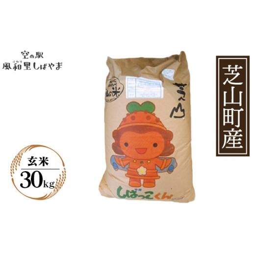 ふるさと納税 米 コシヒカリ 千葉県 芝山町 令和7年産 芝山産コシヒカリ30kg（玄米） ／ コシヒカリ 玄米 げん米 げんまい 米 こめ コメ お米 こしひかり ご…の画像