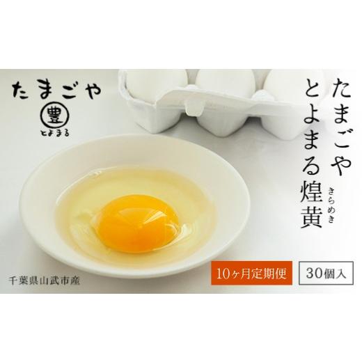 ふるさと納税 卵（鶏、烏骨鶏等） 千葉県 山武市 10ヶ月定期便 たまごやとよまる 煌黄30個 SMAS024_1