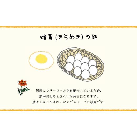 ふるさと納税 卵（鶏、烏骨鶏等） 千葉県 山武市 10ヶ月定期便 たまごやとよまる 煌黄30個 SMAS024_3
