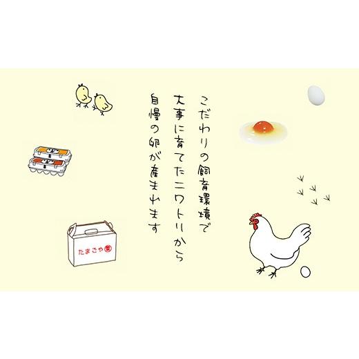 ふるさと納税 卵（鶏、烏骨鶏等） 千葉県 山武市 10ヶ月定期便 たまごやとよまる 煌黄30個 SMAS024_4