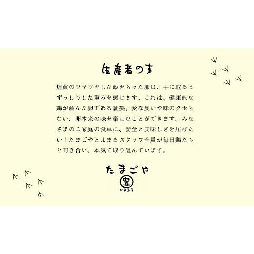 ふるさと納税 卵（鶏、烏骨鶏等） 千葉県 山武市 10ヶ月定期便 たまごやとよまる 煌黄30個 SMAS024_5