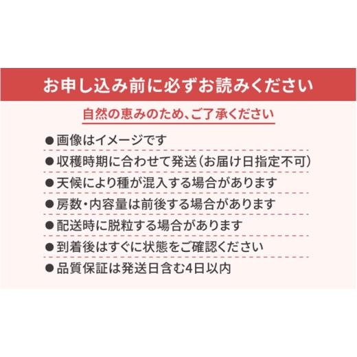 ふるさと納税 ぶどう マスカット 大阪府 柏原市  2026年先行予約 苗から厳選 シャインマスカット1kg(2房) 9月上旬〜下旬発送 大粒 ぶどう ブドウ フルーツ 果…の画像