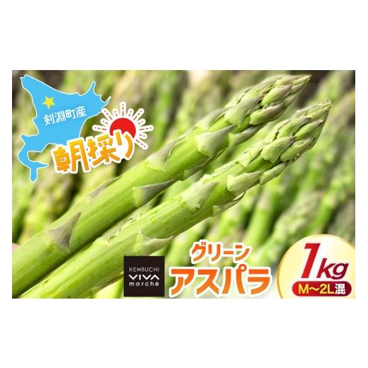 ふるさと納税 野菜類 アスパラガス 北海道 剣淵町 剣淵町産 グリーンアスパラ 1kg(M〜2L混) けんぶちVIVAマルシェ 北海道 剣淵町 14656381 アスパラ アスパラ…