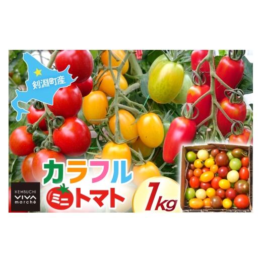 ふるさと納税 トマト ミニトマト 北海道 剣淵町 剣淵町産 カラフルミニトマト 1kg けんぶちVIVAマルシェ 北海道 剣淵町 14656380 トマト とまと ミニトマト 新…