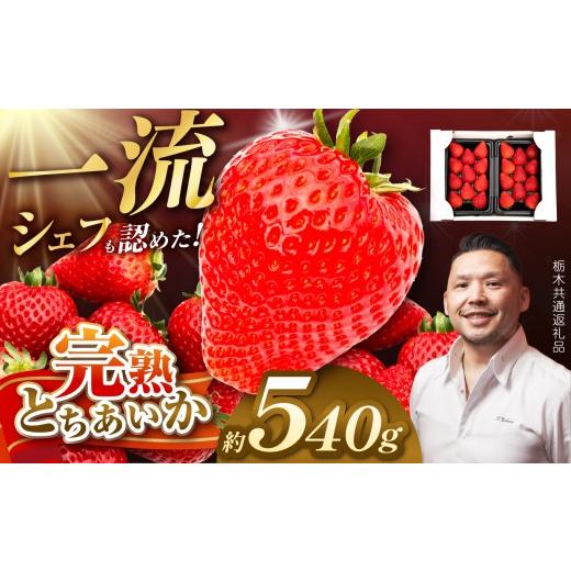 ふるさと納税 いちご 栃木県 那珂川町 栃木県共通返礼品 完熟とちあいか Grande(グランデ)270g×2P | とちあいか 完熟 果物 くだもの 果汁 果肉 高級 赤い …