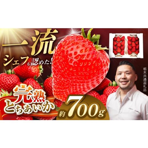 ふるさと納税 いちご 栃木県 那珂川町 栃木県共通返礼品 完熟とちあいか DX(デラックス)350g×2P | とちあいか 完熟 果物 くだもの 果汁 果肉 高級 赤い い…