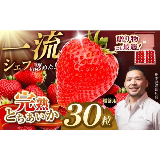 ふるさと納税 いちご 栃木県 那珂川町 栃木県共通返礼品 完熟とちあいか ギフトボックス 贈答用ボックス 30粒入 | とちあいか 完熟 果物 くだもの 果汁 果肉 …